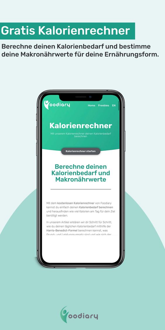 Kalorienrechner Kalorienbedarf Leistungsumsatz Berechnen